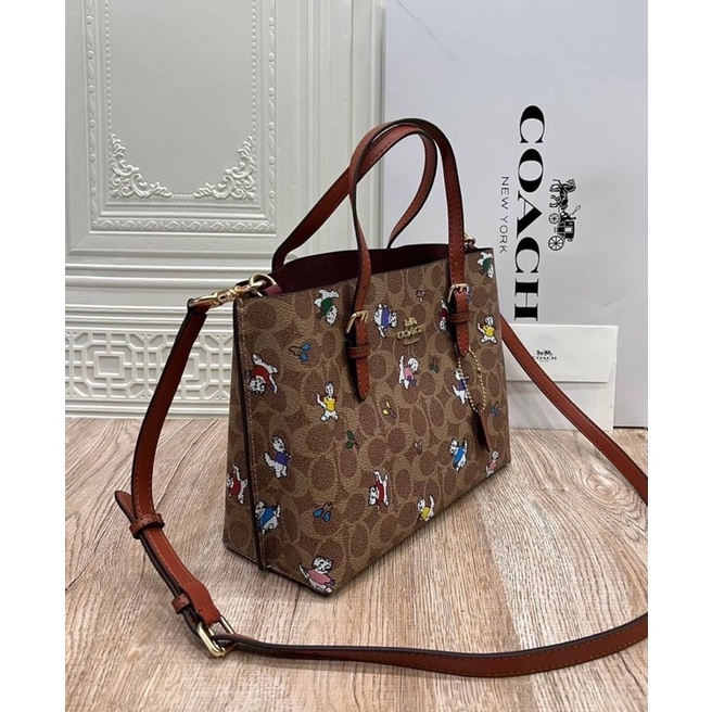 coach-c4250-mollie-tote-25-in-signature-canvas