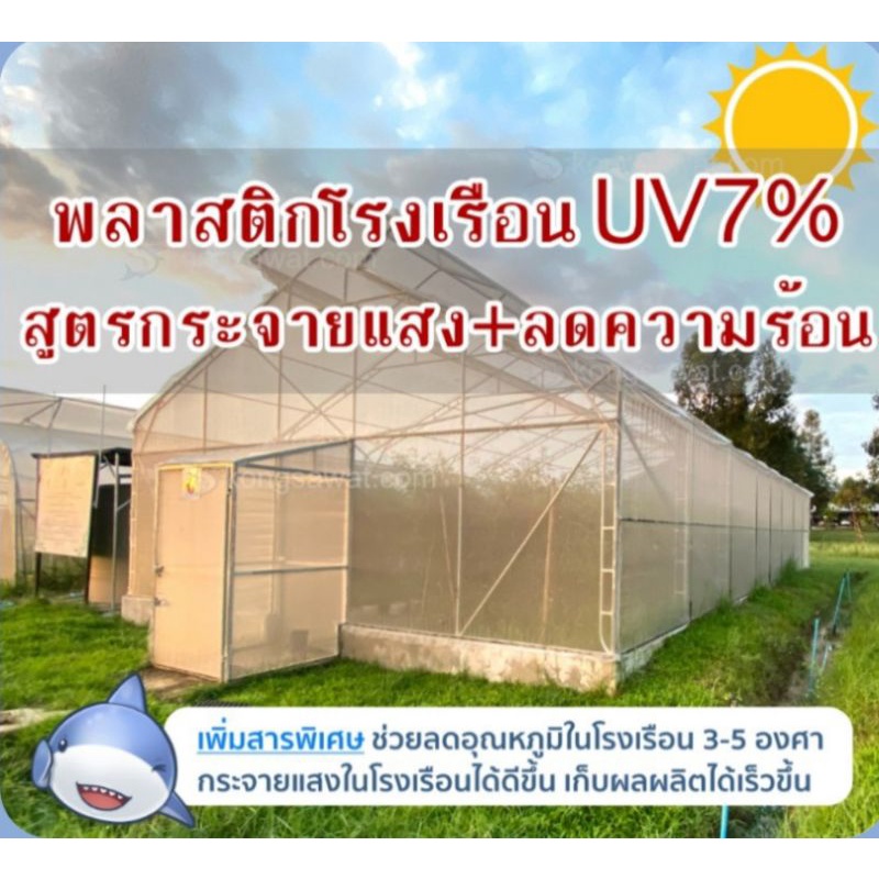 แบ่งขายเป็นเมตร-พลาสติกโรงเรือนผสมuv7-หน้ากว้าง3ม-หนา100ไมครอน-และ-150ไมครอน