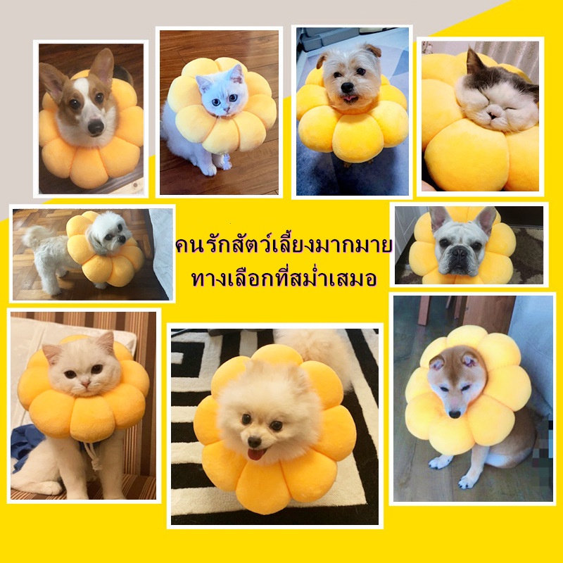 คอลล่าแมว-ปลอกคอกันเลีย-ปลอกคอสัตว์เลี้ยง-ป้องกันการเลียแผลนุ่มนิ่มใส่สบาย-หรับแมวหลังการผ่าตัด