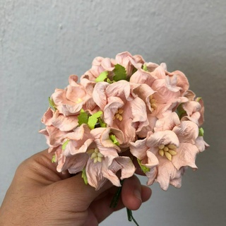 ดอกไม้กระดาษสาดอกไม้ขนาดใหญ่สีชมพูอ่อน 24 ชิ้น ดอกไม้ประดิษฐ์สำหรับงานฝีมือและตกแต่ง พร้อมส่ง F222
