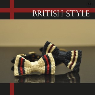 สินค้า ปลอกคอสุนัข-แมว ปลอกคอหนัง สไตล์ British