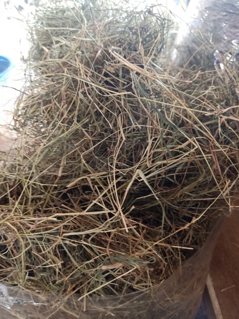 หญ้าแพงโกล่าแห้ง-ถุงเล็ก-500-กรัม-pangola-grass-500g