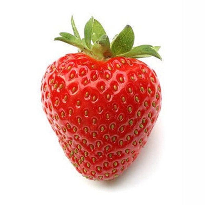 เมล็ดพันธุ์-สตรอเบอร์รี่-แดง-สตอเบอรี่-20-เมล็ด-strawberry-seeds