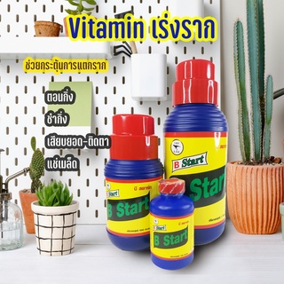 ส่งใว B-star Vitamin B1 เร่งการผสมเกษร+แตกรากเร็ว+เยอะ แก้ปัญหาย้ายไม้แล้วต้นเหี่ยว