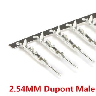 ใหม่ ชุดขั้วต่อสายไฟจัมเปอร์ Dupont Pin ตัวผู้ 2.54 มม. 100 ชิ้น