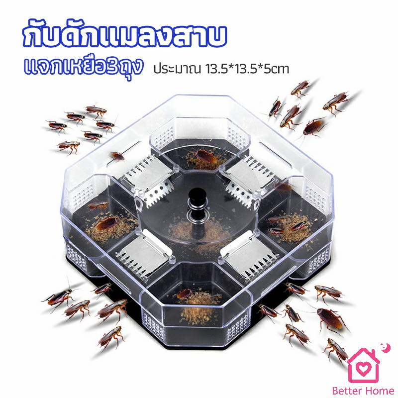 ที่ดักแมลงสาบ-ที่ดักแมลงสาบ-กล่องดักแมลงสาบ-cockroach-trap