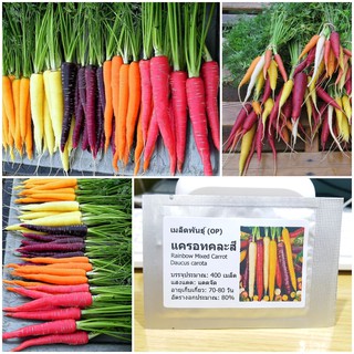 เมล็ดพันธุ์ แครอทคละสี (Rainbow Mixed Carrot Seed) บรรจุ50 เมล็ด (ไม่ใช่พืชที่มีชีวิต)