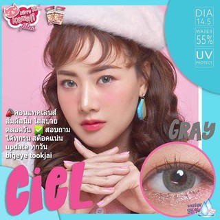 💖 Kitty Kawaii Ciel brown gray green Contactlens บิ๊กอาย คอนแทคเลนส์ ราคาถูก แถมตลับฟรี