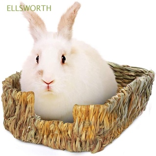 Ellsworth ของเล่นสัตว์เลี้ยงกระต่ายเม่นแฮนด์เมดธรรมชาติสําหรับสัตว์เลี้ยงหลากสี