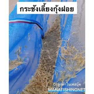 กระชังเลี้ยงกุ้งฝอย-กุ้งเครฟิช-ขนาด-1-8x2-5-เมตร-สูง-1-เมตร