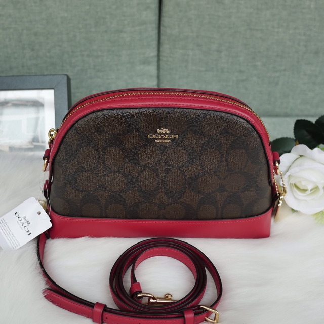 Coach dome crossbody in signature online canvas