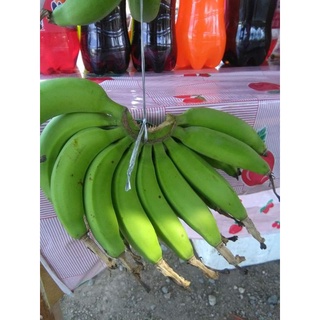 กล้วยหมากแก่ 1 หวี (สำหรับแกง) กล้วยพื้นบ้านทางภาคใต้ เมนูบ้านๆ