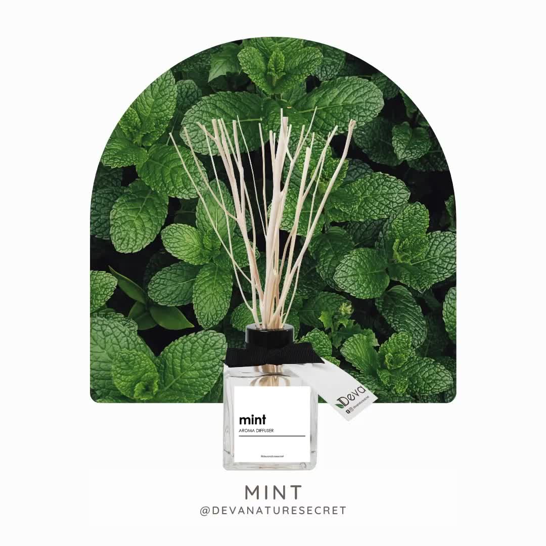 🔥พร้อมส่ง🔥 ก้านไม้หอม Deva Aroma Diffuser น้ำหอมมิ้นต์ น้ำหอมลิลลี่ ...