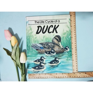 หนังสือมือสอง [[ The Life Cycle of Ducks ]] ★มือสอง★ ปกแข็ง ขนาดประมาณ A4 📌*มีรอยถลอกที่สันปก