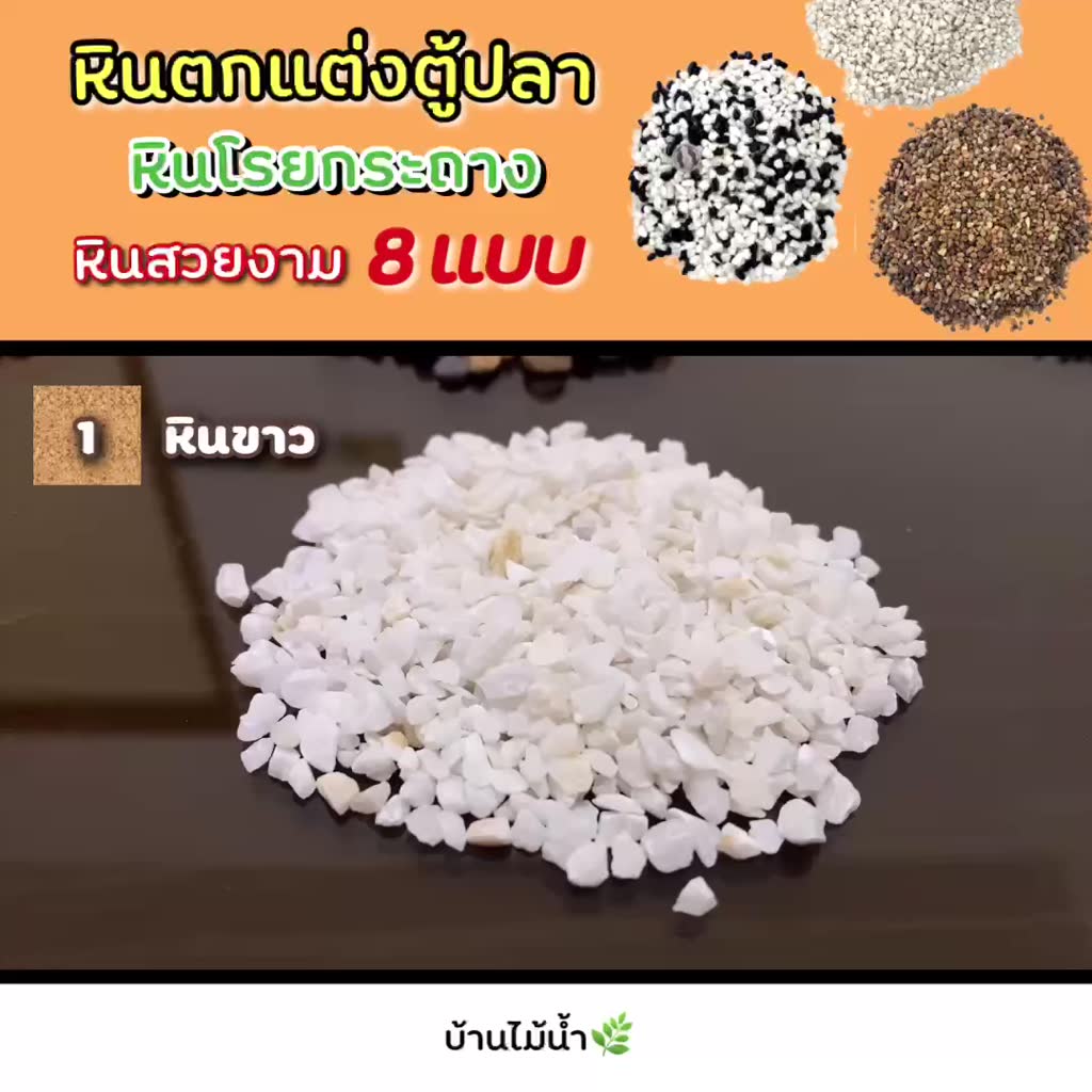 หินดำ-หินขาว-หินน้ำตาล-หินดำเงา-หินขาวเงา-หินตกแต่งตู้ปลา-หินตู้ปลา-หินโรยหน้ากระถาง-หินแคคตัส-บ้านไม้น้ำ