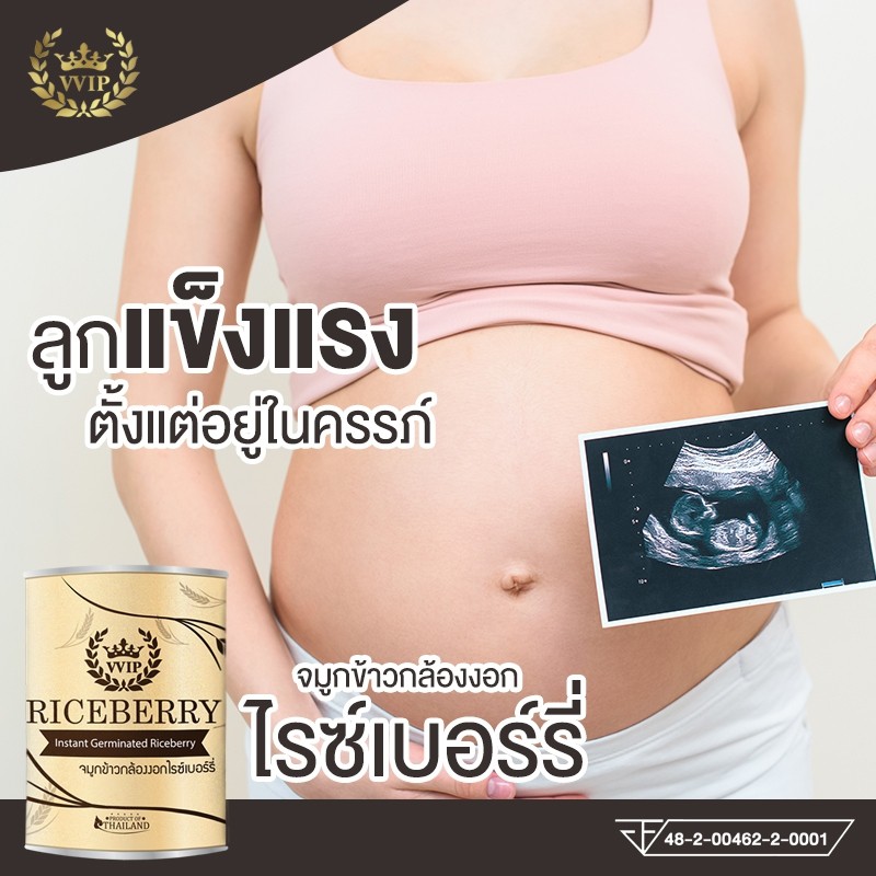 จมูกข้าวไรซ์เบอร์รี่-riceberry-จมูกข้าวกล้องงอก-พร้อมชงดื่ม-ขนาด-500กรัม-แพ็ค5-กระป๋อง-แถมฟรี-1กระป๋อง