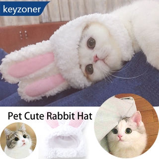 สินค้า อุปกรณ์สัตว์เลี้ยงมินิหูกระต่ายสัตว์เลี้ยงแมวหมวกสไตล์น่ารักข้าม - แต่งตัวหมวกสำหรับสัตว์เลี้ยง
