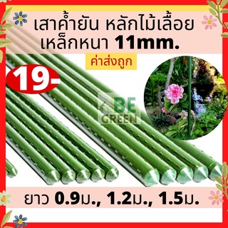 สินค้า หลักไม้เลื้อย ไม้ค้ำต้นไม้ 11มม. มีหลายขนาด เสาค้ำต้นไม้ เสาไม้เลื้อย ไม้ค้ำไม้เลื้อย ไม้ค้ำยัน เหล็กเคลือบพลาสติก ทนทาน