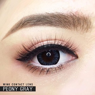 peony/ivy/V6 grayบิ๊กอายส์ตัดขอบสีเทาตาโต แบ๊ว