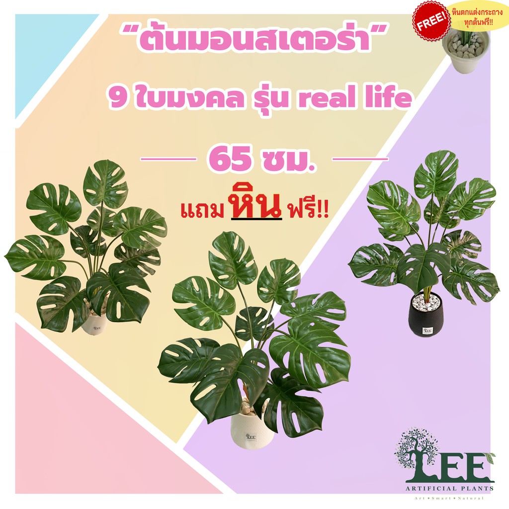 โปร-สินค้าใหม่-ต้นมอนสเตอร่า-สูง-65-ซม-รุ่น-real-life-9-ใบ-มงคล-พร้อมกระถาง-สัมผัสเนื้อใบเสมือนจริง