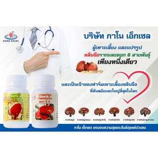 ภาพขนาดย่อของภาพหน้าปกสินค้ากาโน การ์ซีเนีย ส้มแขก GANO GARCINIA จากร้าน top_suriyachai บน Shopee