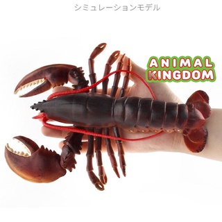 Animal Kingdom - โมเดลสัตว์ กุ้งมังกรบอสตัน แดง ขนาด 23.00 CM (จากสงขลา)