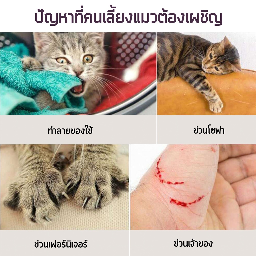 ภาพสินค้าI&CAT กระดาษลับเล็บแมวหลากสี คละสี ขนาด 43x21.5x3.5 cm.ที่ลับเล็บแมว ของเล่นแมว *****มีหลายแบบให้เลือก จากร้าน i_and_cat บน Shopee ภาพที่ 7