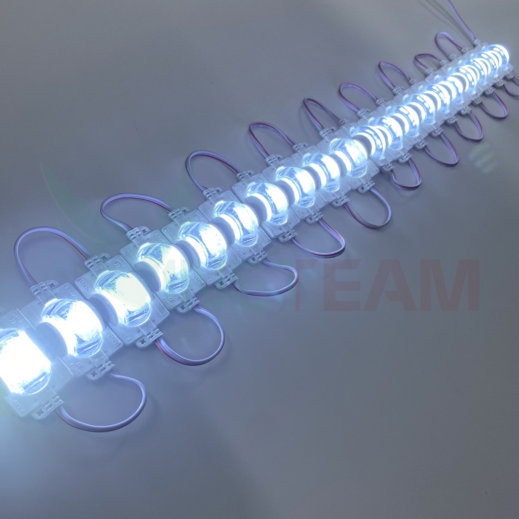 Blister Of 20 Leds Illuminated Buffalo Eyes 12V - 1.5W White, Sunny ...