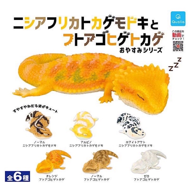 **พร้อมส่ง**กาชาปองตุ๊กแก กิ้งก่า เบื๊ยดดราก้อน Ajrican Fat-Tailed Gecko & Bearded Oyasumi Series