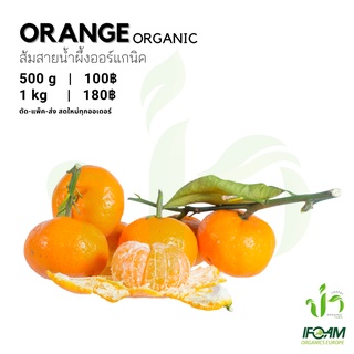 ภาพหน้าปกสินค้าส้มสายน้ำผึ้งออร์แกนิค Organic Organge มาตรฐานผักออร์แกนิค IFOAM ผักสลัด ผักสด เก็บ-แพ็ค-ส่ง เก็บใหม่ทุกออเดอร์ ที่เกี่ยวข้อง