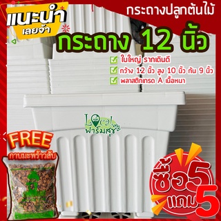 5แถม5ฟรี🔸กาบมะพร้าวสับ กระถางต้นไม้ 12” กระถางขาว กระถางปลูกต้นไม้ กระถางกุหลาบ กระถางปลูกบอน กระถางพลาสติก เนื้อดี