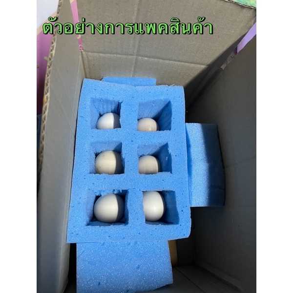 ภาพสินค้าไข่ไก่ชนพม่า ไข่เชื้อ ขายเป็นชุดเฉลี่ยฟองละ65 พ่อพันธุ์เจ้าเยียร์พม่าม้าล่อไอคิว จากร้าน wittawat_kj บน Shopee ภาพที่ 3