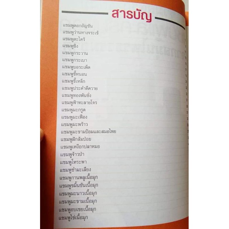 หนังสือแชมพูและครีมนวดผม