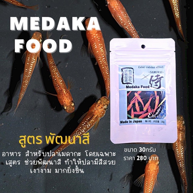 medaka-food-สำหรับปลาเมดากะ