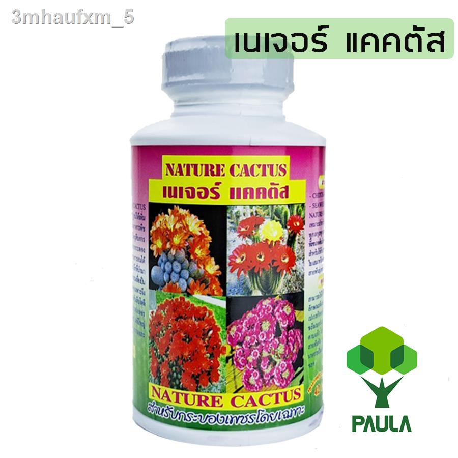 paula-ปุ๋ยน้ำ-แคคตัส-บลูม-เนเจอร์-แคคตัส-แคคตัส-พลัส-cactus-bloom-cactus-plus-nature-cactus-ปุ๋ยแคคตัส-กระบองเพชร