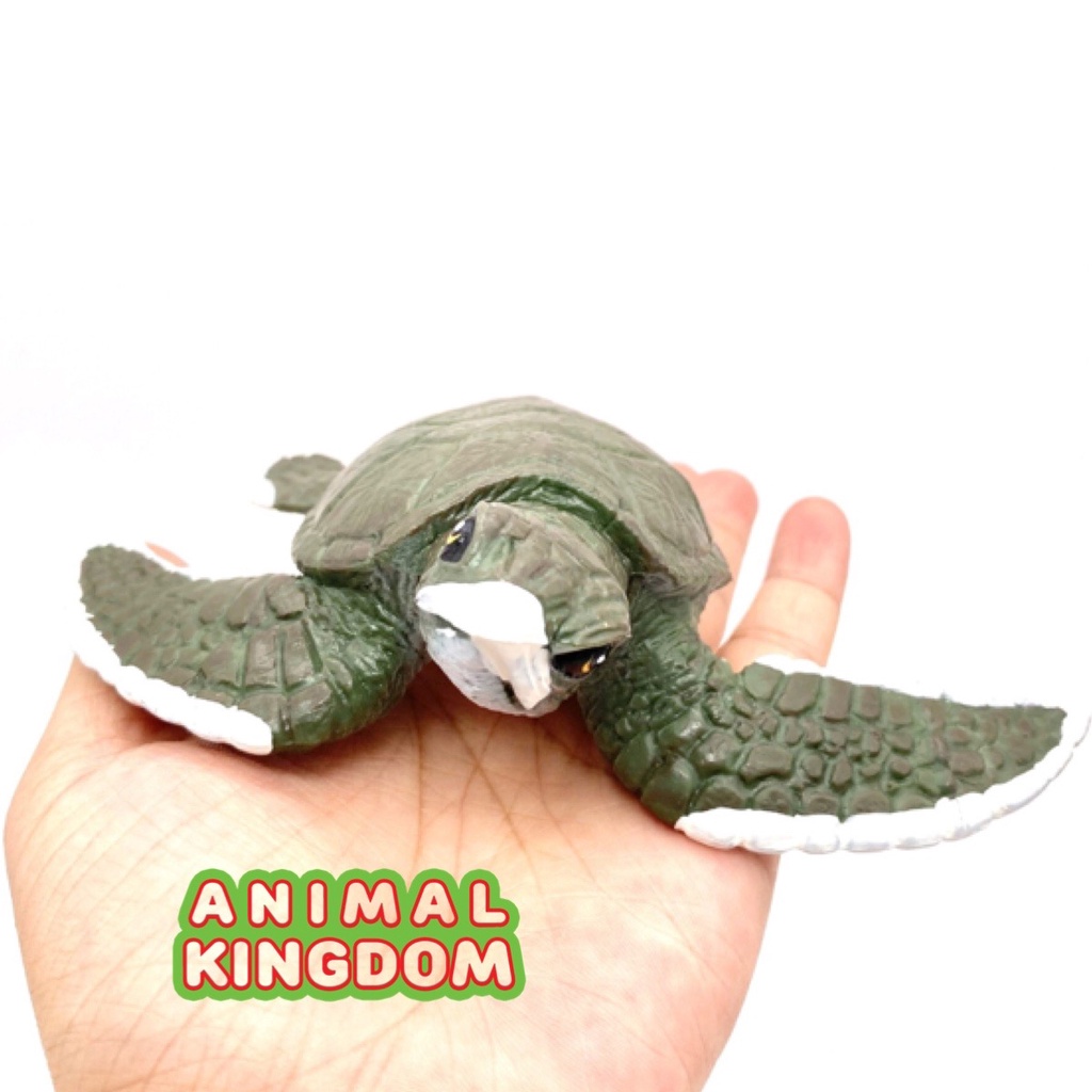 animal-kingdom-โมเดลสัตว์-เต่าทะเล-เขียว-ขนาด-12-00-cm-จากสงขลา