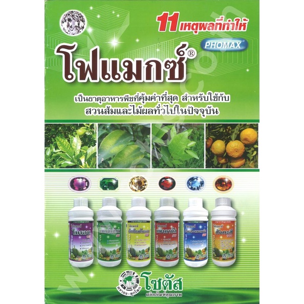 500cc-โฟแมกซ์-โซตัส-เป็นธาตุอาหารเสริมที่จำเป็นสำหรับการเจริญเติบโตของพืช