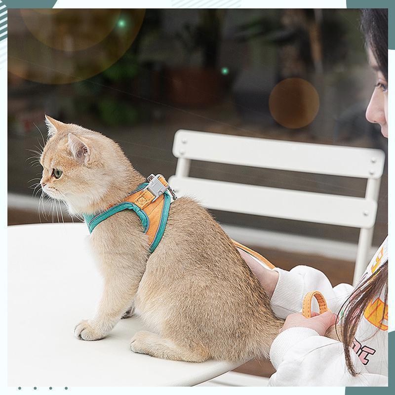 new-cat-harness-chest-strap-reflective-vest-and-leash-set-adjustable-walking-harness-collar-for-small-dogs-cat-pet-accessories