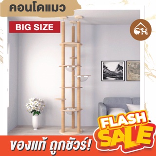 🔥ถูกสุด! 🔥 Condo แมว ขนาดสูง 320 cm. ติดตั้งง่าย ราคาพิเศษ 10,900.-