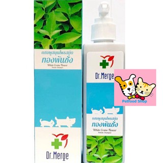 ภาพขนาดย่อของภาพหน้าปกสินค้า+ล็อตใหม่+ Dr.Merge แชมพูทองพันชั่ง (250 ml) กำจัดเชื้อรา ยีสต์ แก้ขนร่วง สำหรับสุนัข-แมว จากร้าน petfood_shop บน Shopee