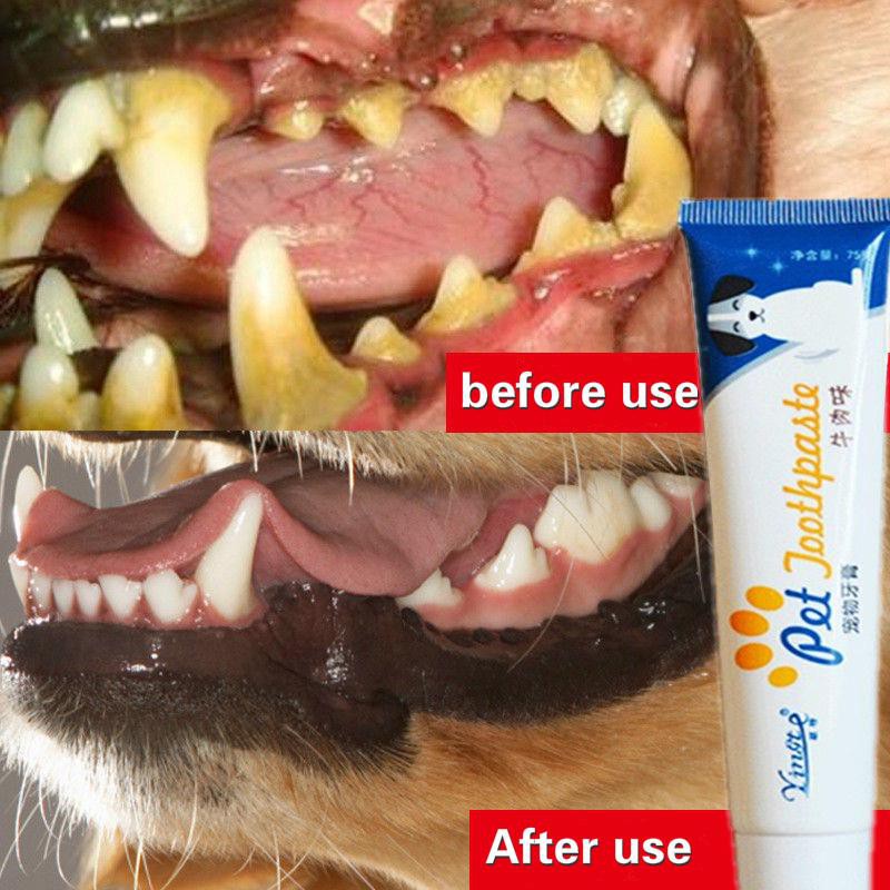 ภาพหน้าปกสินค้ายาสีฟันแมวและสุนัข รสเนื้อและวานิลลา สำหรับทำความสะอาดช่องปากสัตว์เลี้ยง จากร้าน dearmypet.th บน Shopee