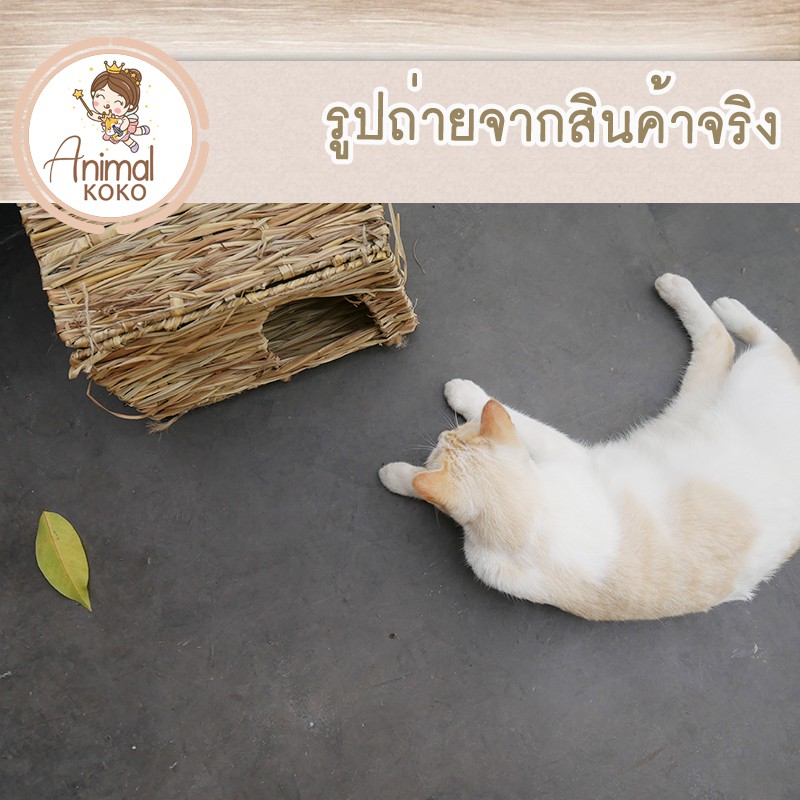 animal-koko-บ้านฟางหญ้า-totoro-หนูตะเภา-guinea-pig-กระต่าย-สำหรับเป็นที่อยู่อาศัย-จำลองแบบธรรมชาติ