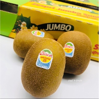 🥝✨กีวี่สีทอง Zespri (4ลูก/pack) ซุปเปอร์ฟรุ้ตรสหวานฉ่ำ เนื้อละมุน คัดเหรดพรีเมียม