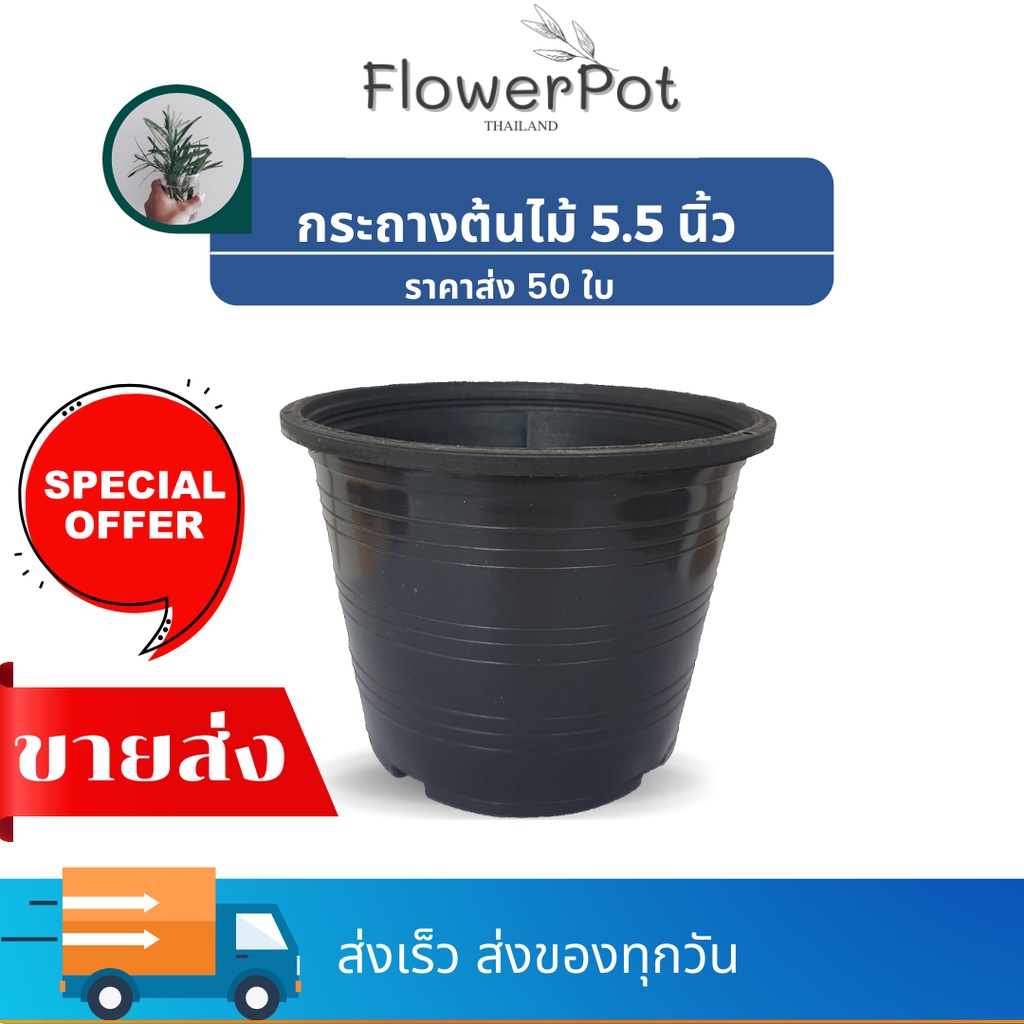 50ใบ-กระถางต้นไม้-กระถางปลูกต้นไม้5-5-นิ้ว-6-นิ้ว-ราคาถูกสุด-ขายส่งจากโรงงาน-กระถางพลาสติก-กระถางมินิมอล