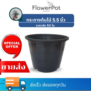 [50ใบ] กระถางต้นไม้ กระถางปลูกต้นไม้5.5 นิ้ว 6 นิ้ว ราคาถูกสุด ขายส่งจากโรงงาน  กระถางพลาสติก กระถางมินิมอล