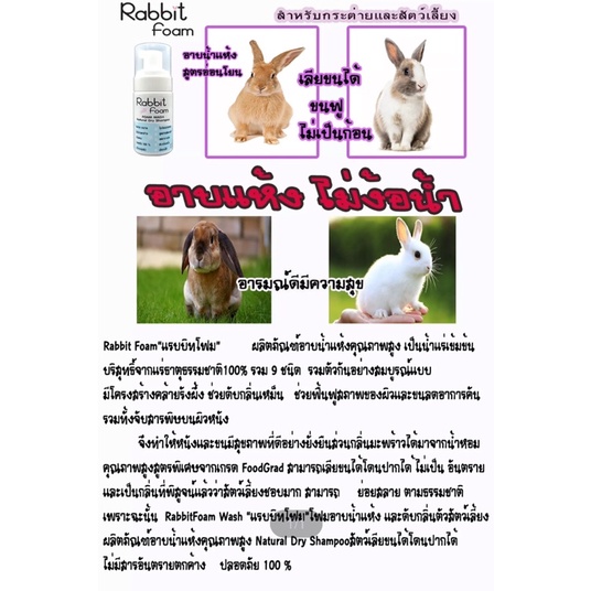 rabbit-foam-แรบบิทโฟม-โฟมอาบน้ำแห้งสูตรอ่อนโยน-อาบน้ำสะอาด-เลียขนได้-ไม่เป็นอันตราย-กลิ่นหอมละมุน-ขนสวยคุณภาพดี