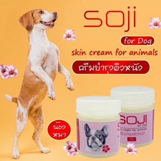 สินค้า SOJI​ ครีมรักษาเชื้อราสุนัข​ ครีมทาผิวหนัง​ ครีมรักษาผิวหนังขนหลุดร่วงสุนัข​ 50​ml.