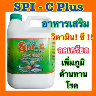 Spi-c สไป-ซี พลัส อาหารเสริมวิตามินซี สำหรับสัตว์น้ำ แกลลอน 4 ลิตร อาหารเสริมกุ้ง อาหารเสริมปลา ช่วยกุ้งแข็งแรง