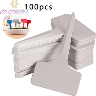 【COLORFUL】Plant Labels 100pcs Flower Plant Accessories Gardening Tags Labels White Durable