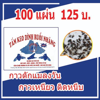 กาวดักแมลงวัน​ แผ่นกาวดักแมลงวัน​ 100​ แผ่น